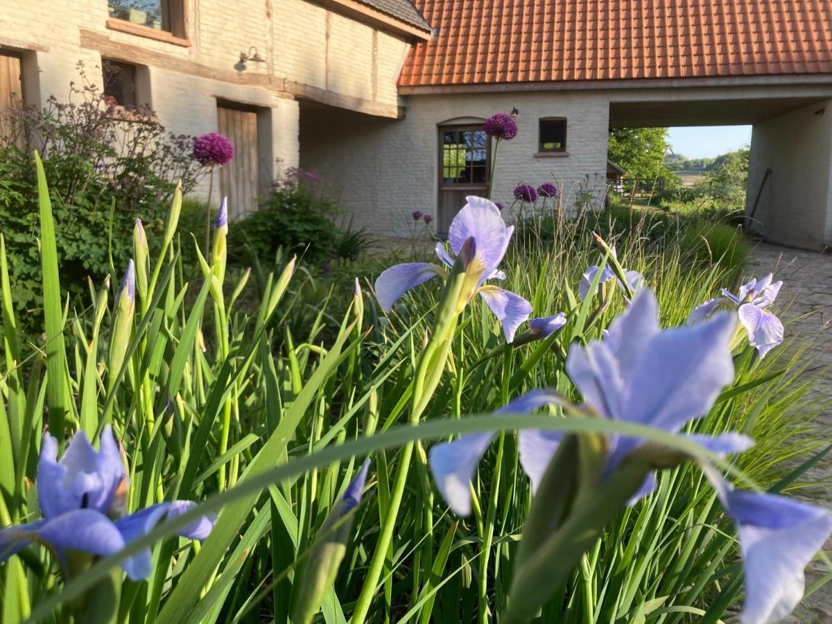 Nachtegael Hoekhuis, Knusse Woning Met Prachtig Vergezicht Kluisbergen Kültér fotó